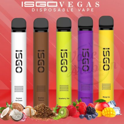 ISGO VEGAS DISPOSABLE VAPE 2800